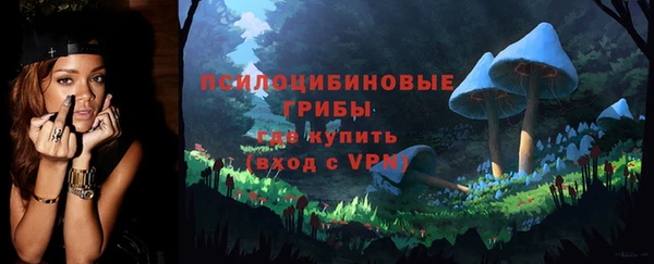 МДПВ Алексеевка