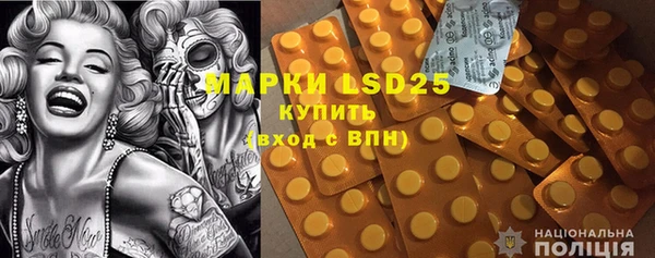 хмурый Алзамай