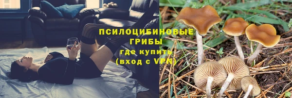 МДПВ Алексеевка