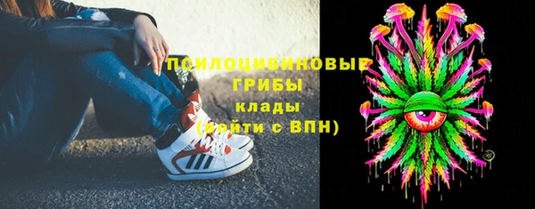 МДПВ Алексеевка