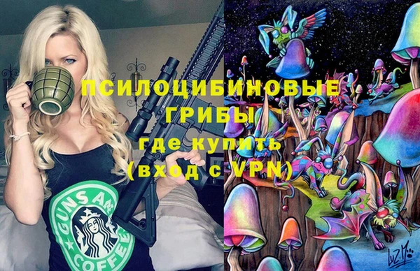 МДПВ Алексеевка