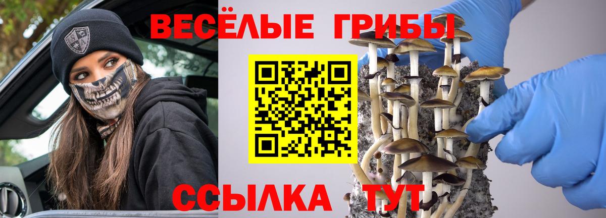 Псилоцибиновые грибы Cubensis Апрелевка